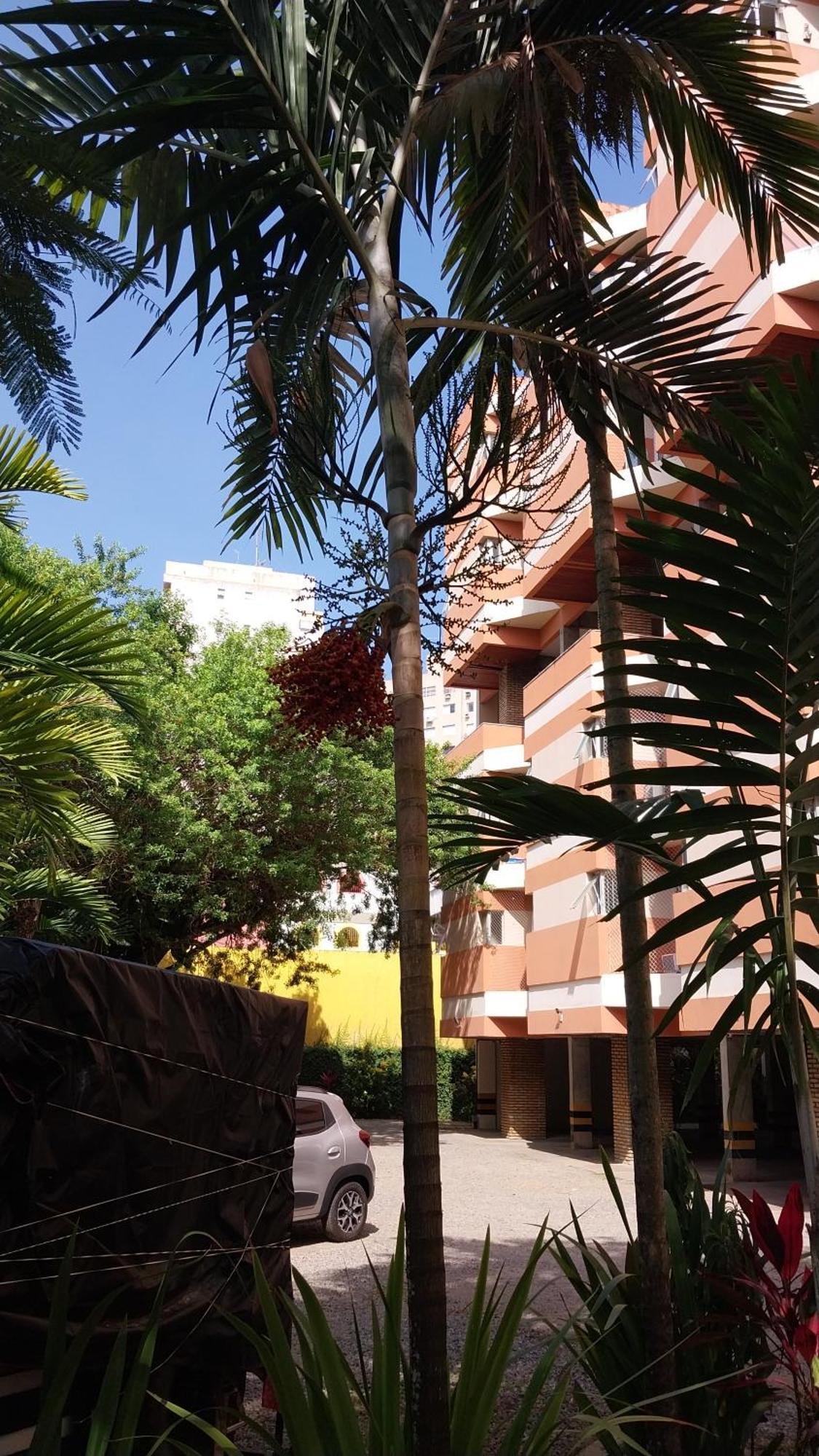 סלבאדור Apartamento Itaigara מראה חיצוני תמונה